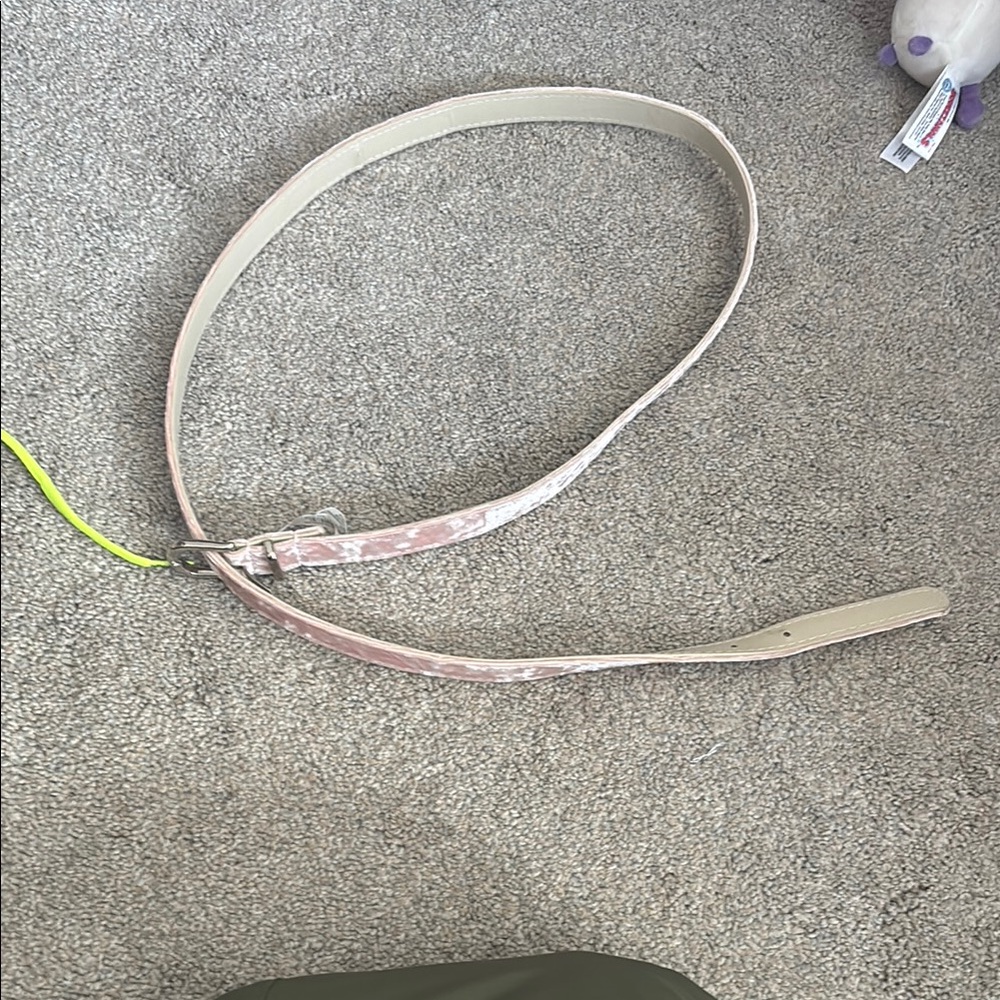 Elegant Cream Belt